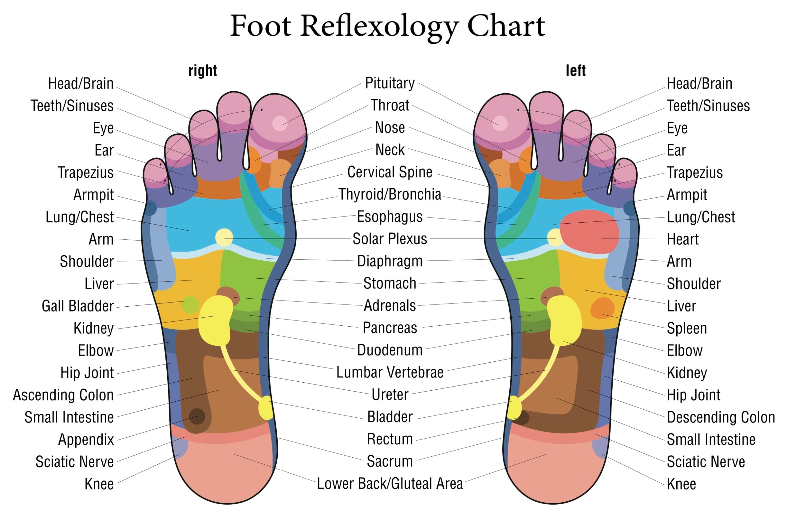 All about Reflexology