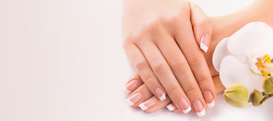 Hands with a natural manicure and an orchid